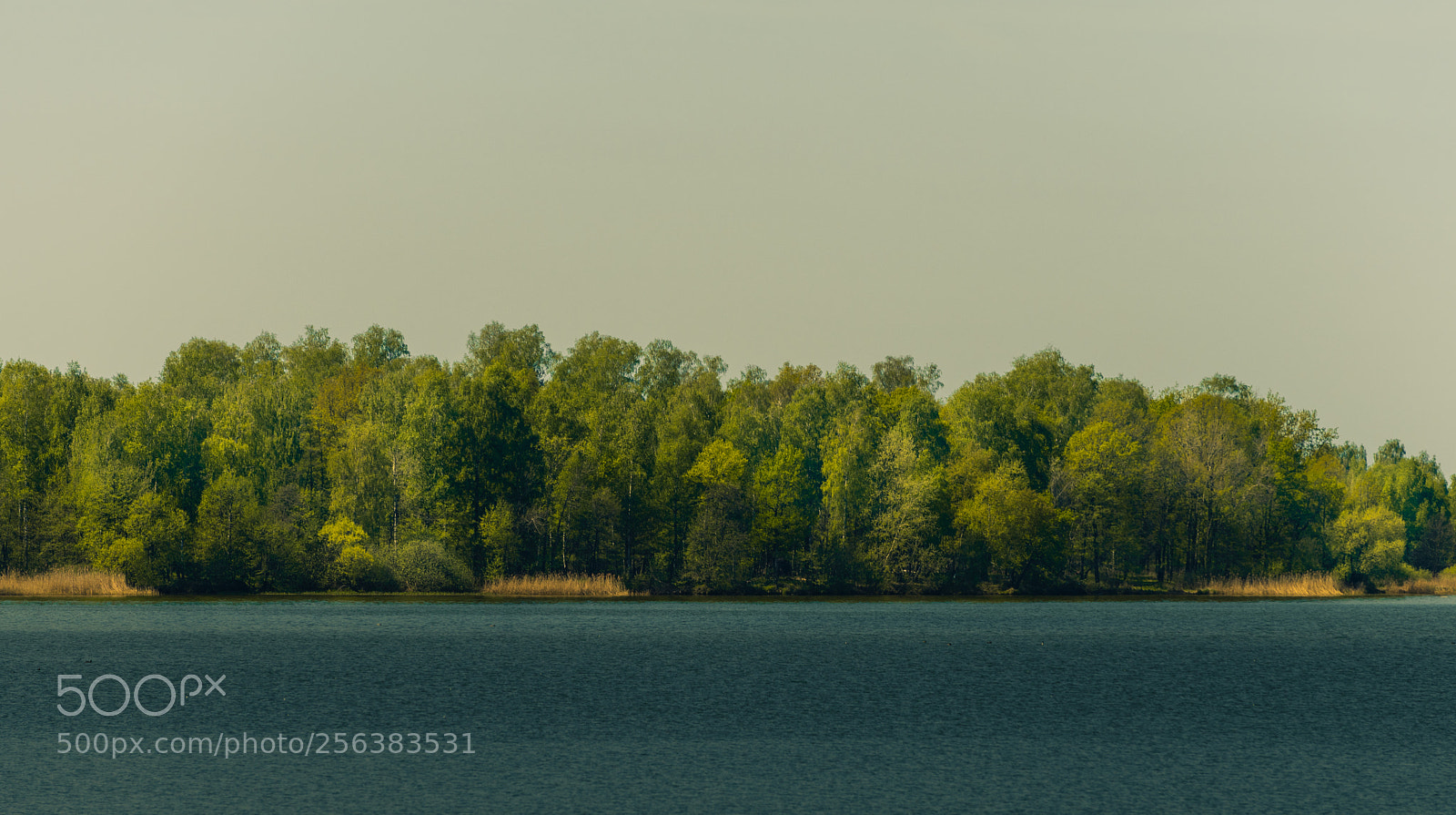 Nikon D810 sample photo. Zabrzeg i photography
