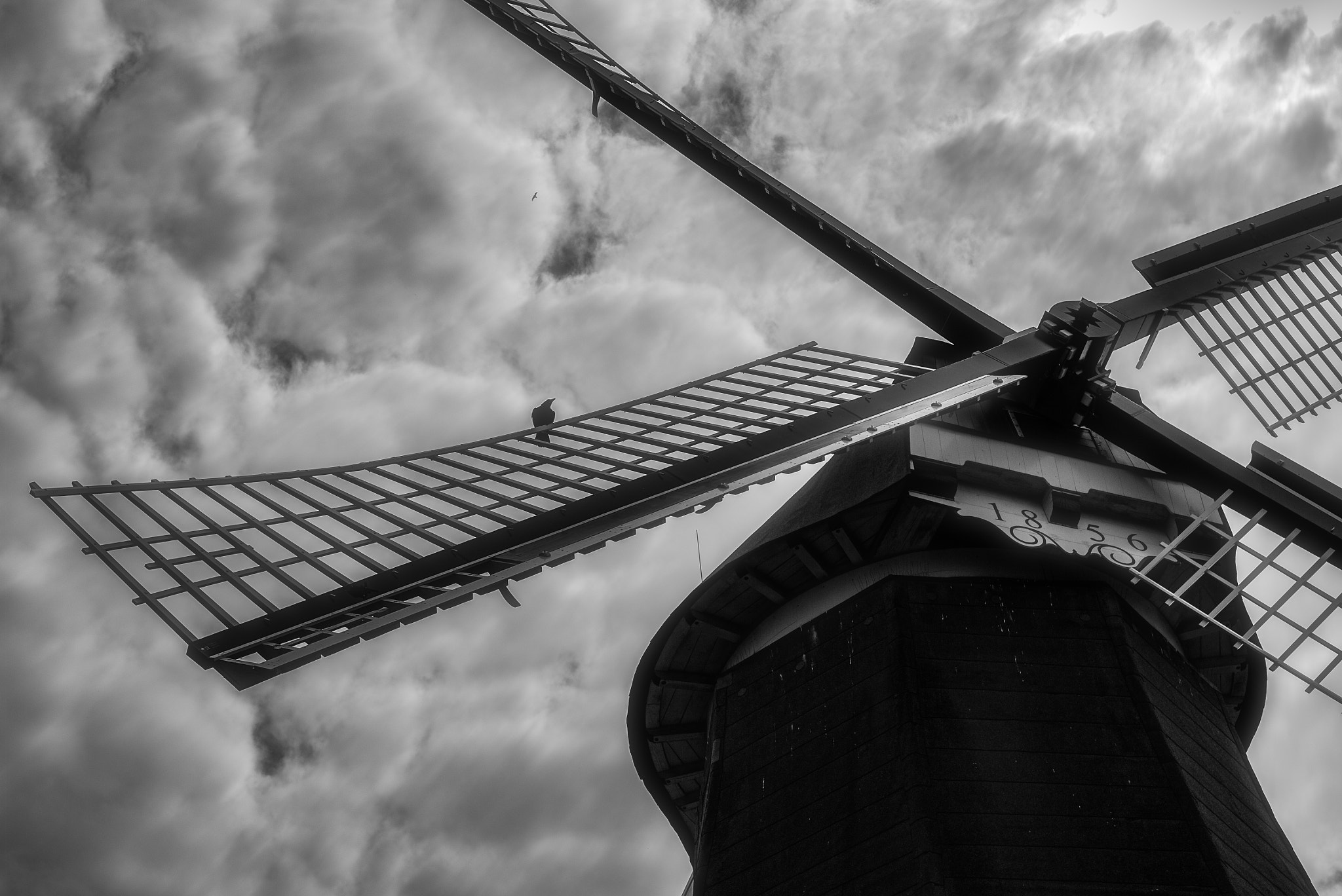 Leica M Monochrom (Typ 246) sample photo. Windmill with a bird photography