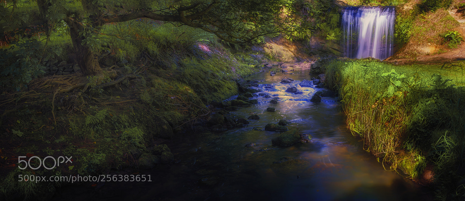 Nikon D800 sample photo. Oakley creek photography