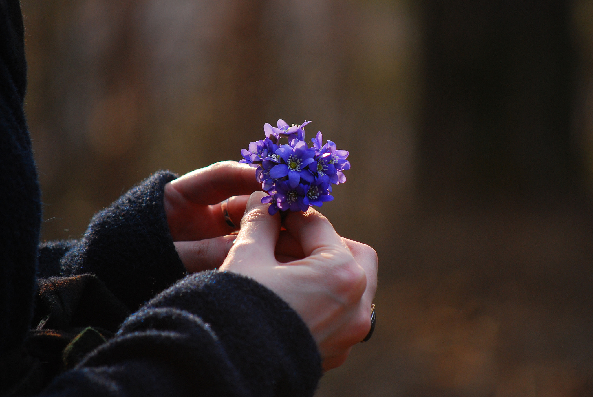 Nikon D80 sample photo. It arrived photography