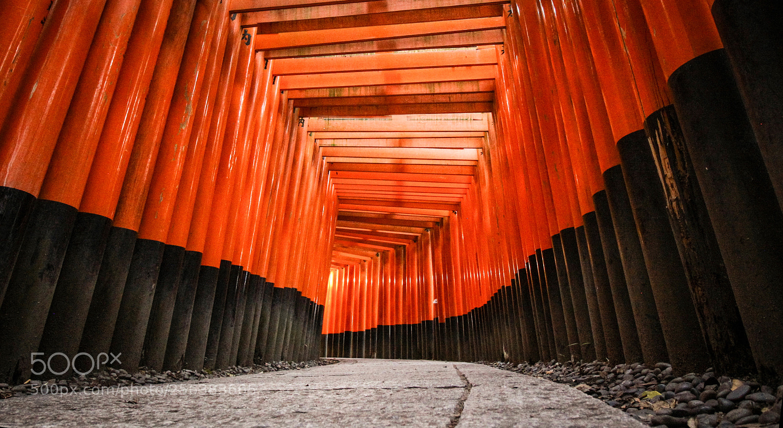 Canon EOS 50D sample photo. Kyoto16 photography
