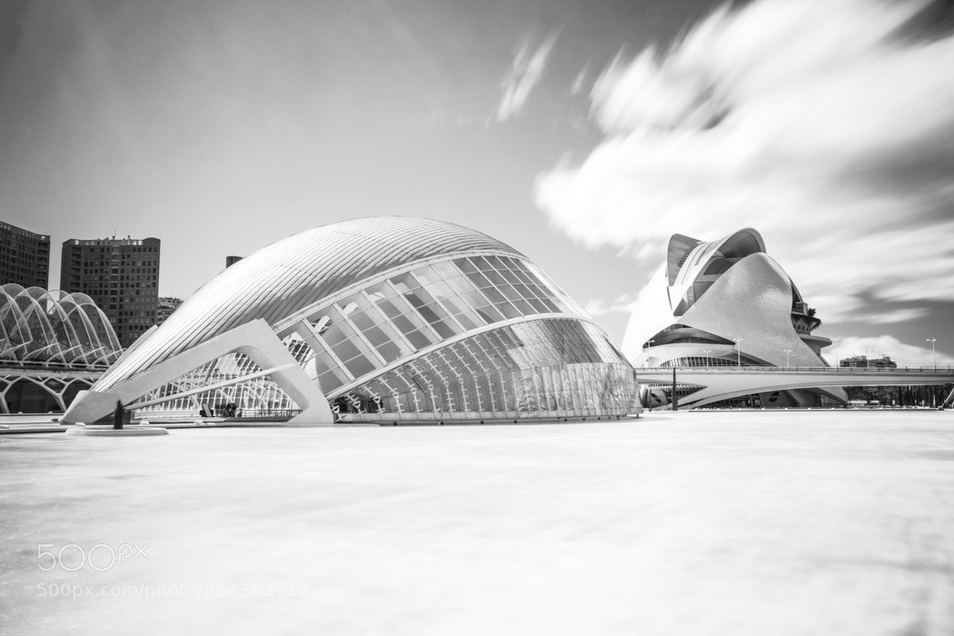 Sony a7R II sample photo. Ciutat de les arts photography
