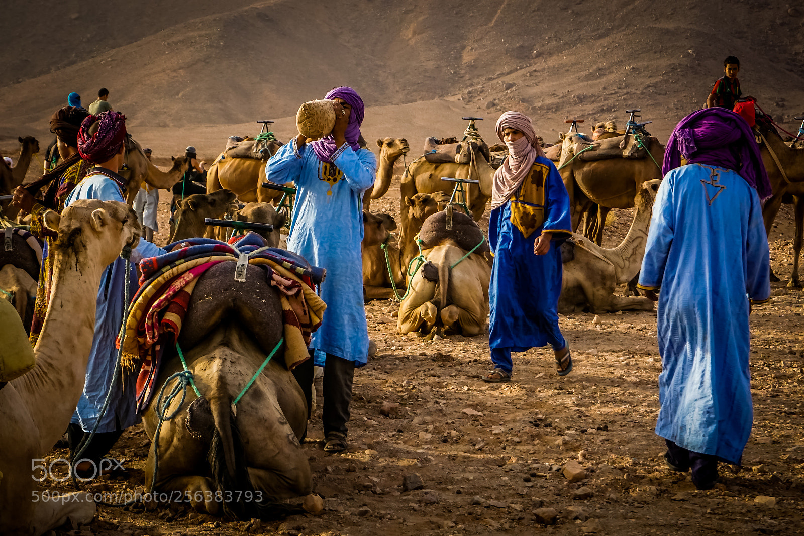 Sony a6000 sample photo. Marrakech desert photography