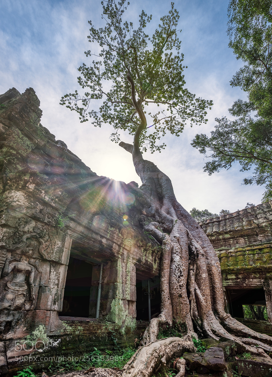 Nikon D500 sample photo. Ta prohm photography