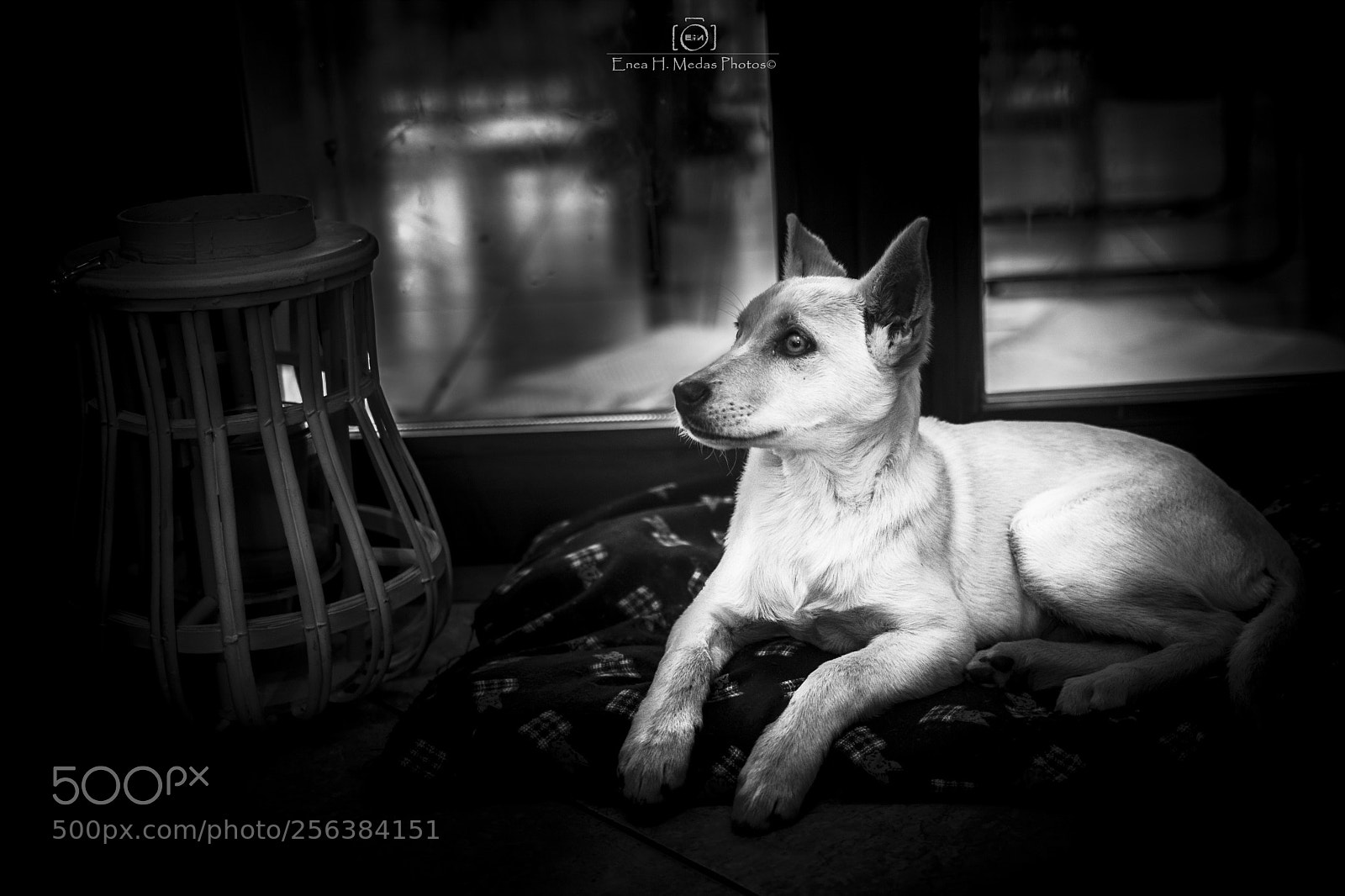 Nikon D7100 sample photo. Mrs. bric photography