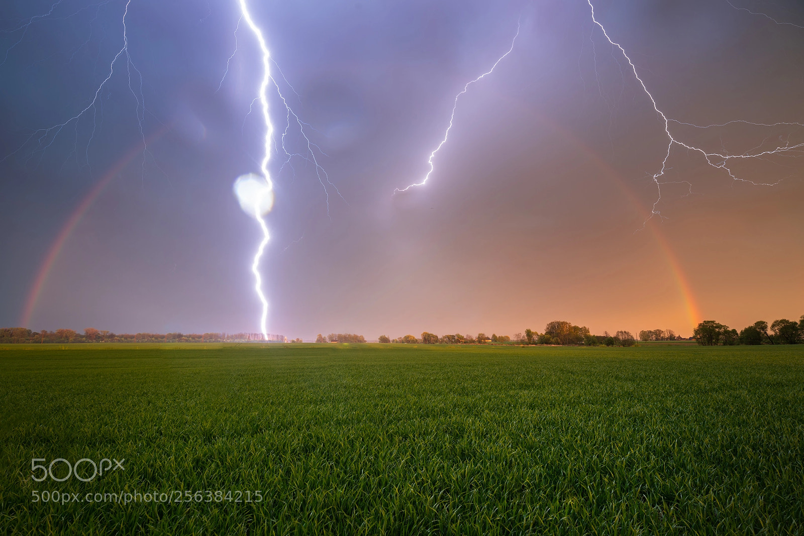 Sony a7R II sample photo. When paradise meet hell photography