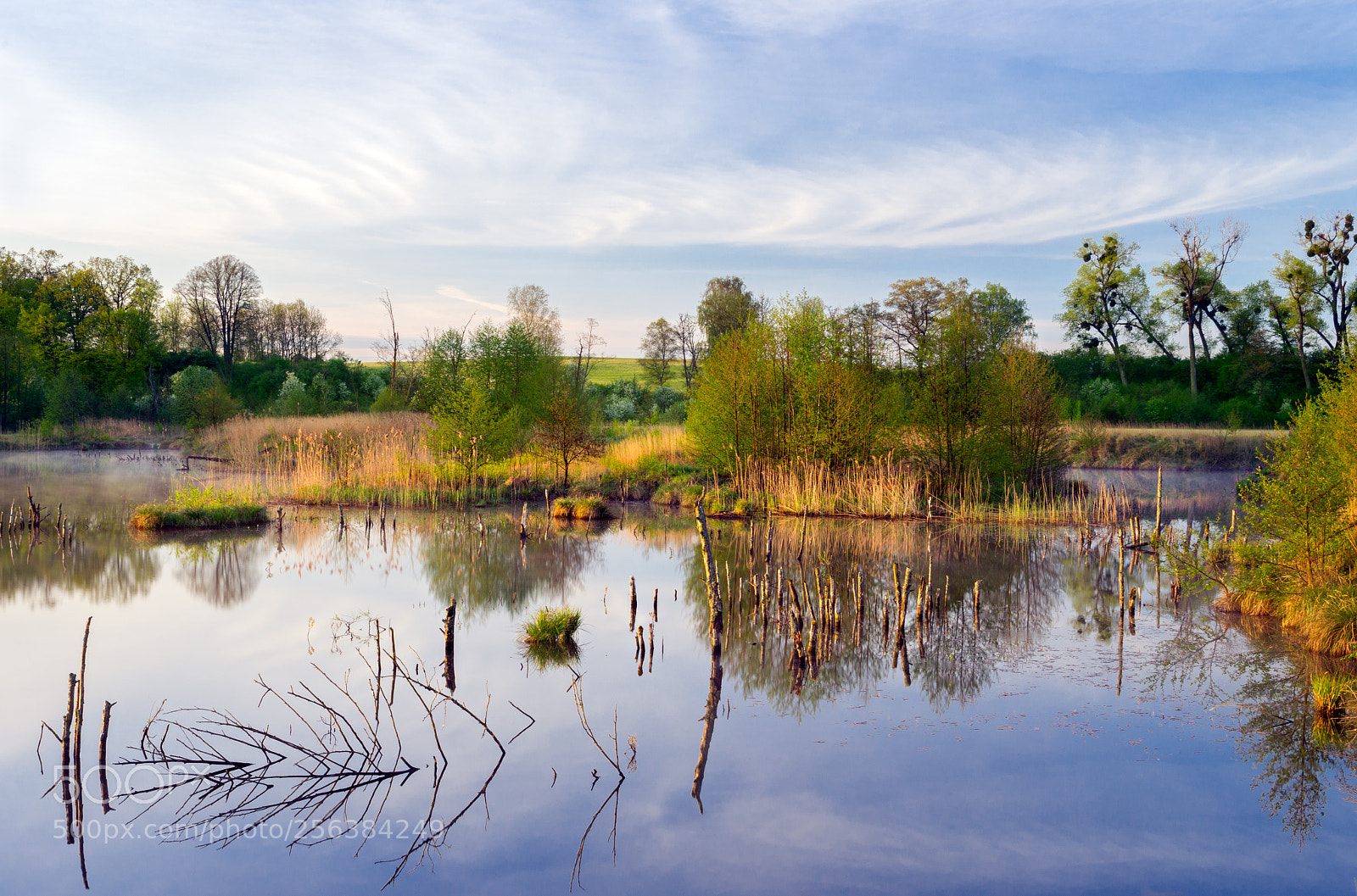 Pentax K-5 sample photo. Wierzyca river, spring, morning... photography
