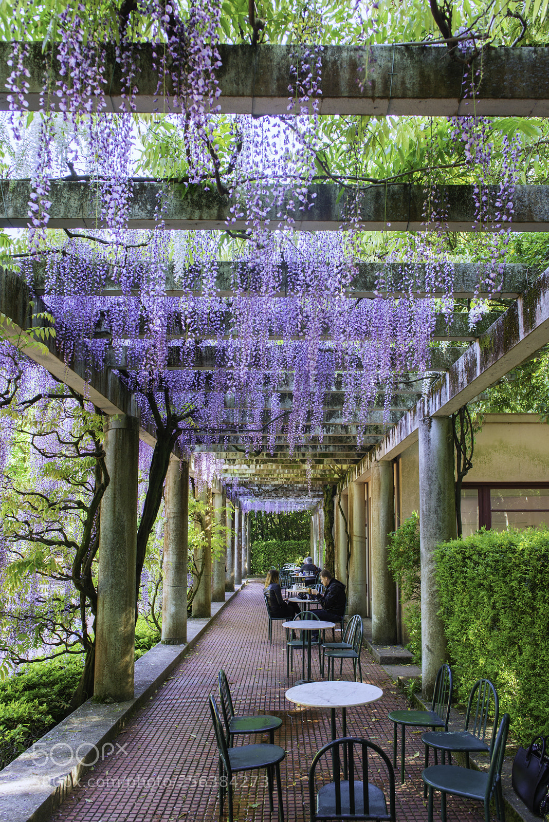 Nikon D600 sample photo. Tea house photography