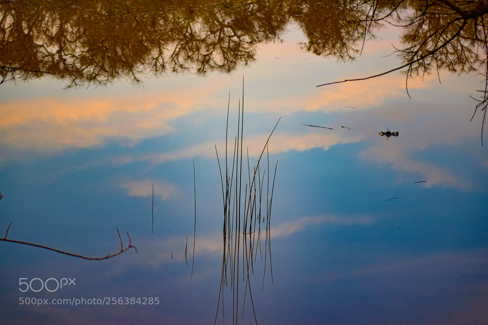 Nikon D5300 sample photo. Reflejos del atardecer photography