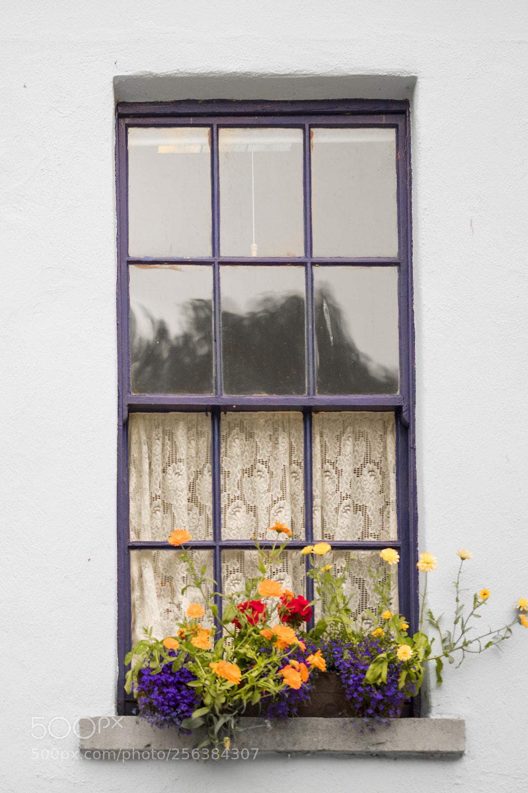 Sony a7R sample photo. Liven things up! photography
