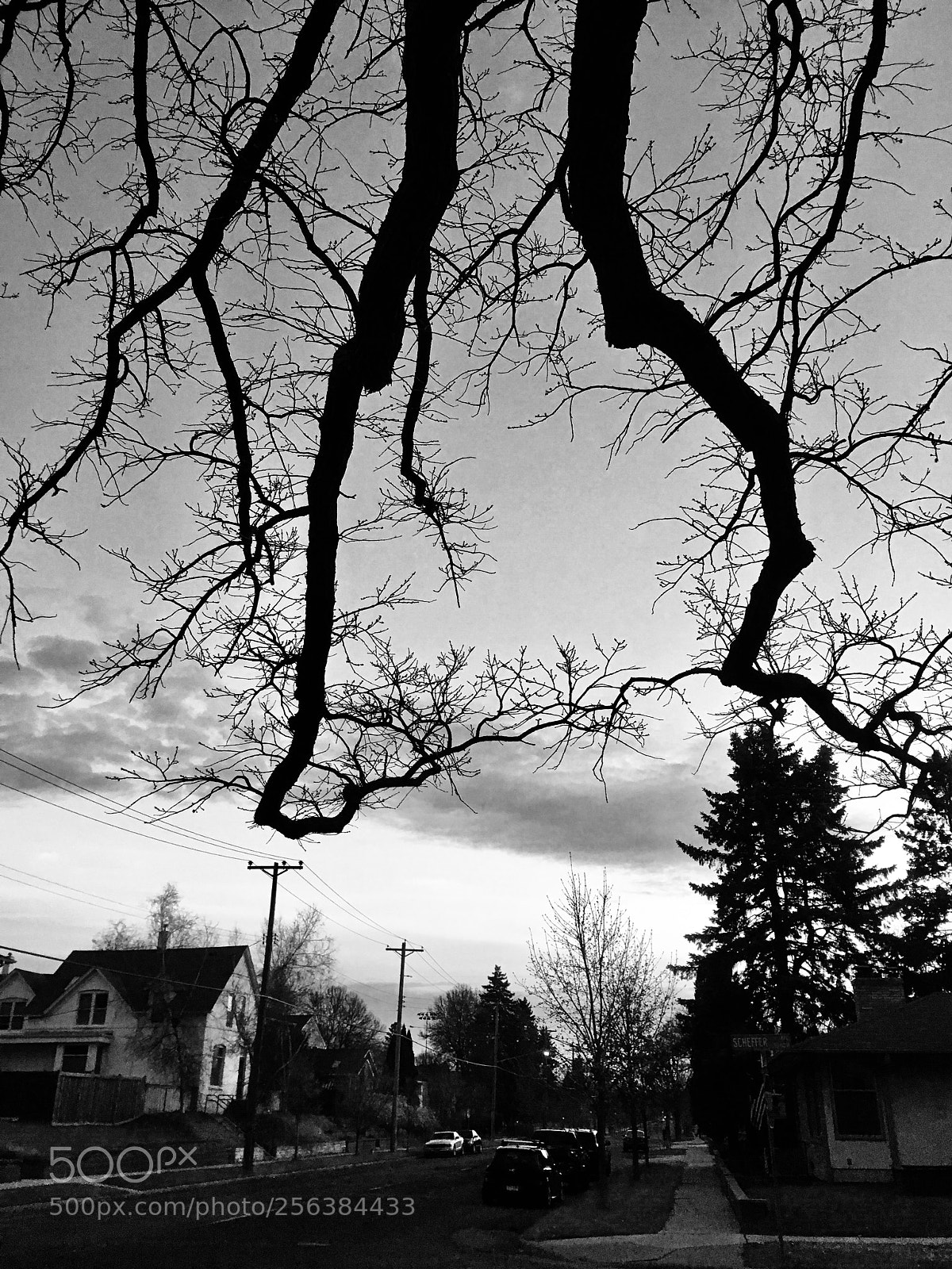 Apple iPhone SE sample photo. Black lightning photography