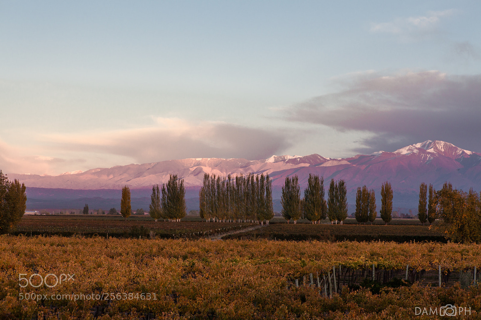 Canon EOS 5D Mark II sample photo. Mountains and trees photography