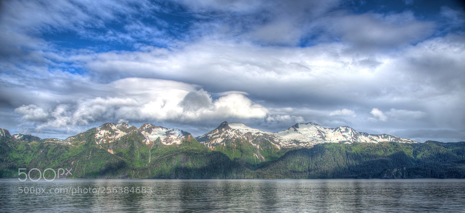 Nikon D750 sample photo. Kenai fjords national park photography