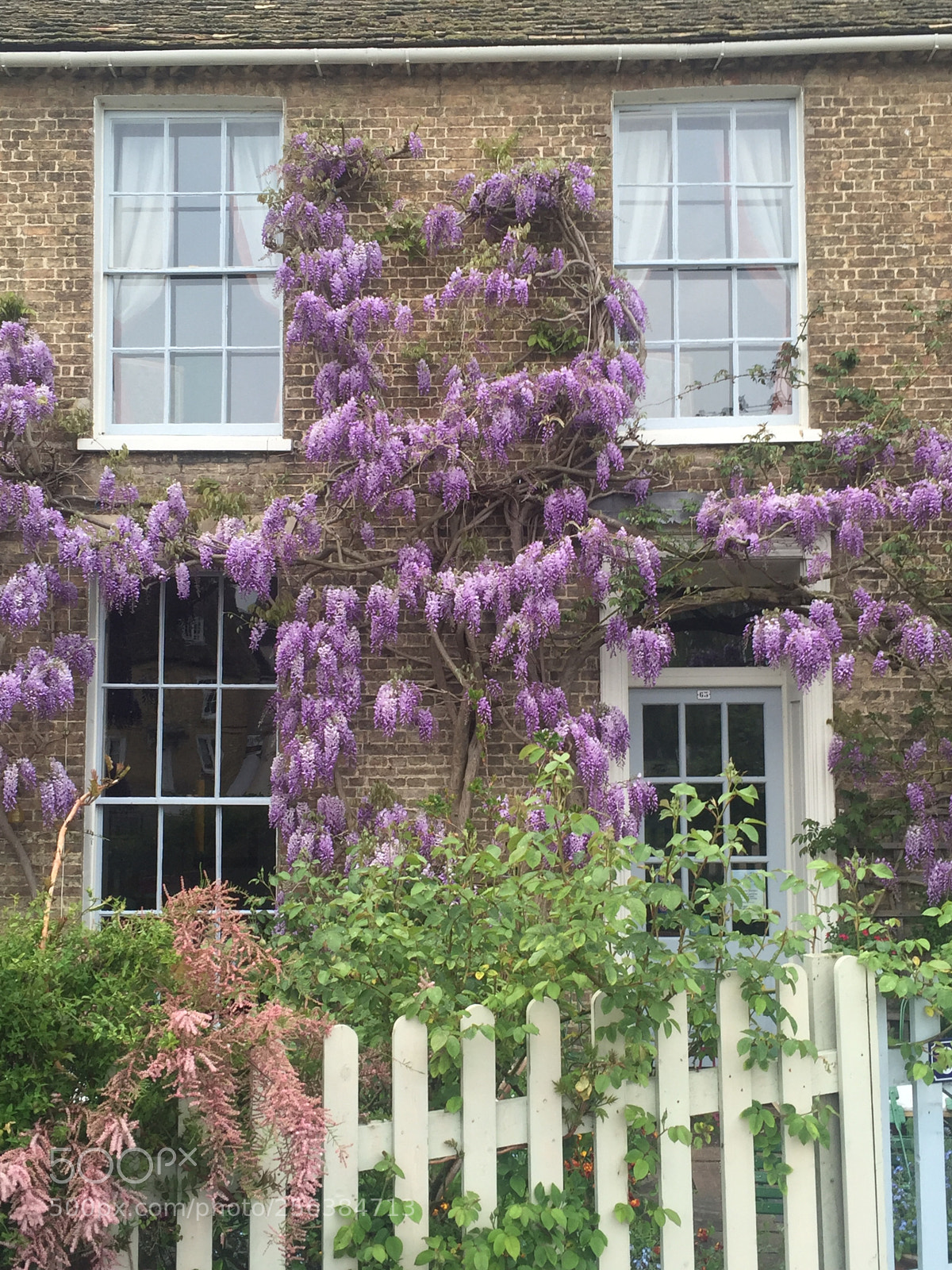 Apple iPhone 6 sample photo. Ely, cambridgeshire photography