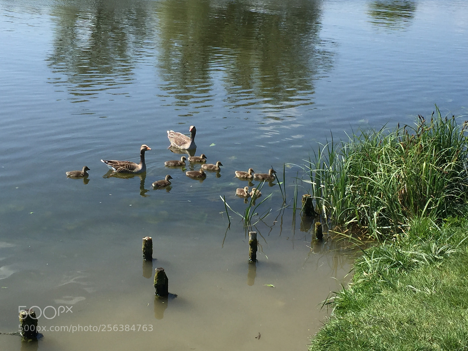 Apple iPhone 6 sample photo. Ely, cambridgeshire photography