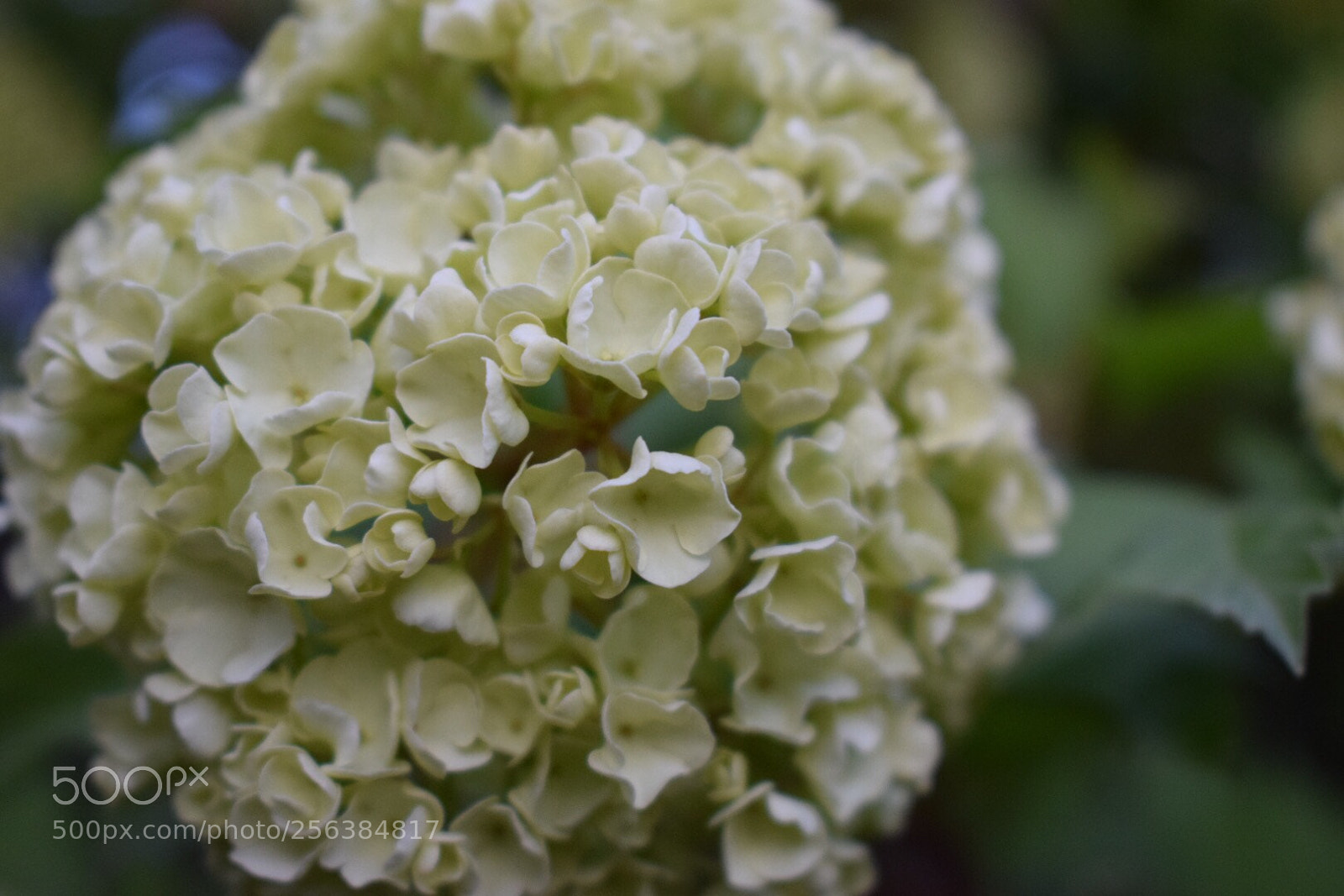 Nikon D5300 sample photo. Untitled photography