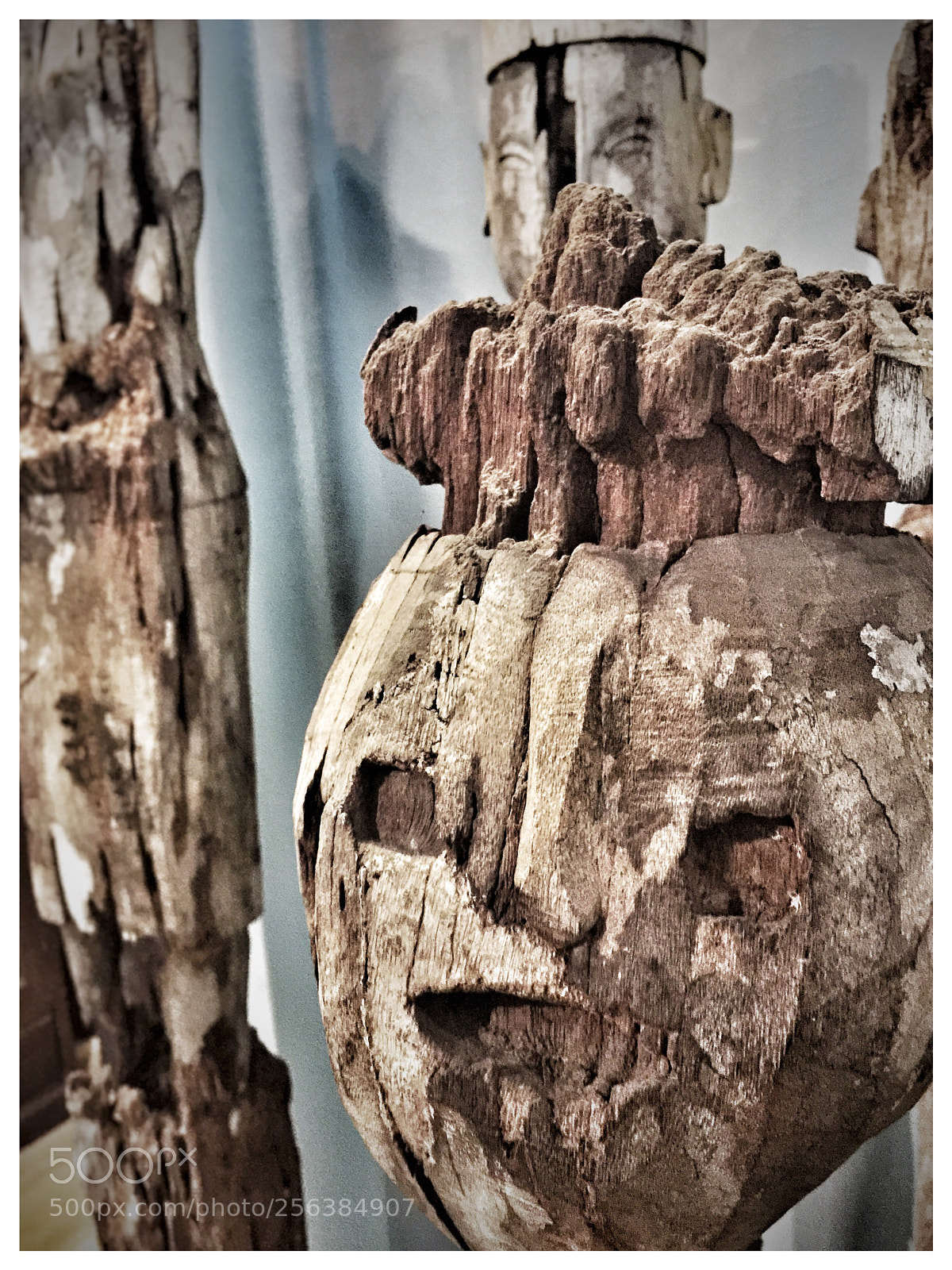 Apple iPhone 6 Plus sample photo. Le peuple de bois photography
