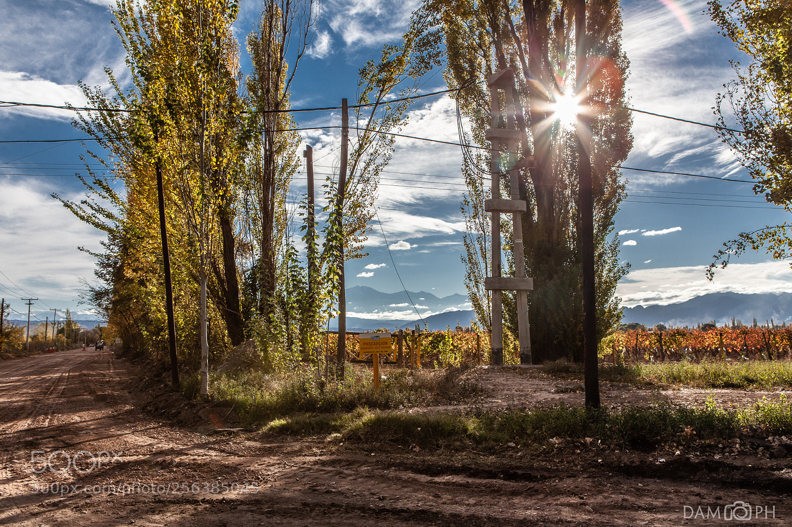 Canon EOS 5D Mark II sample photo. The light photography
