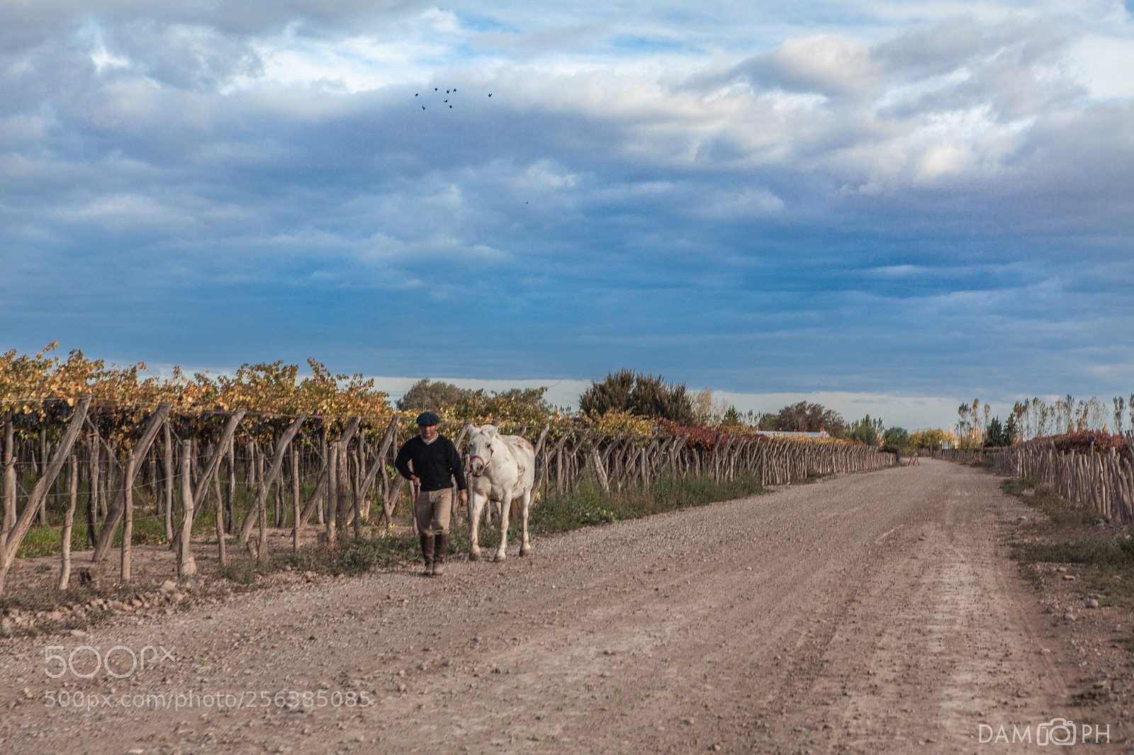 Canon EOS 5D Mark II sample photo. Campesino photography