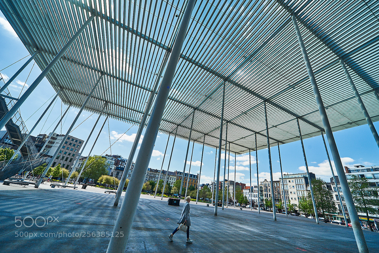 Sony a7 II sample photo. In front of the photography