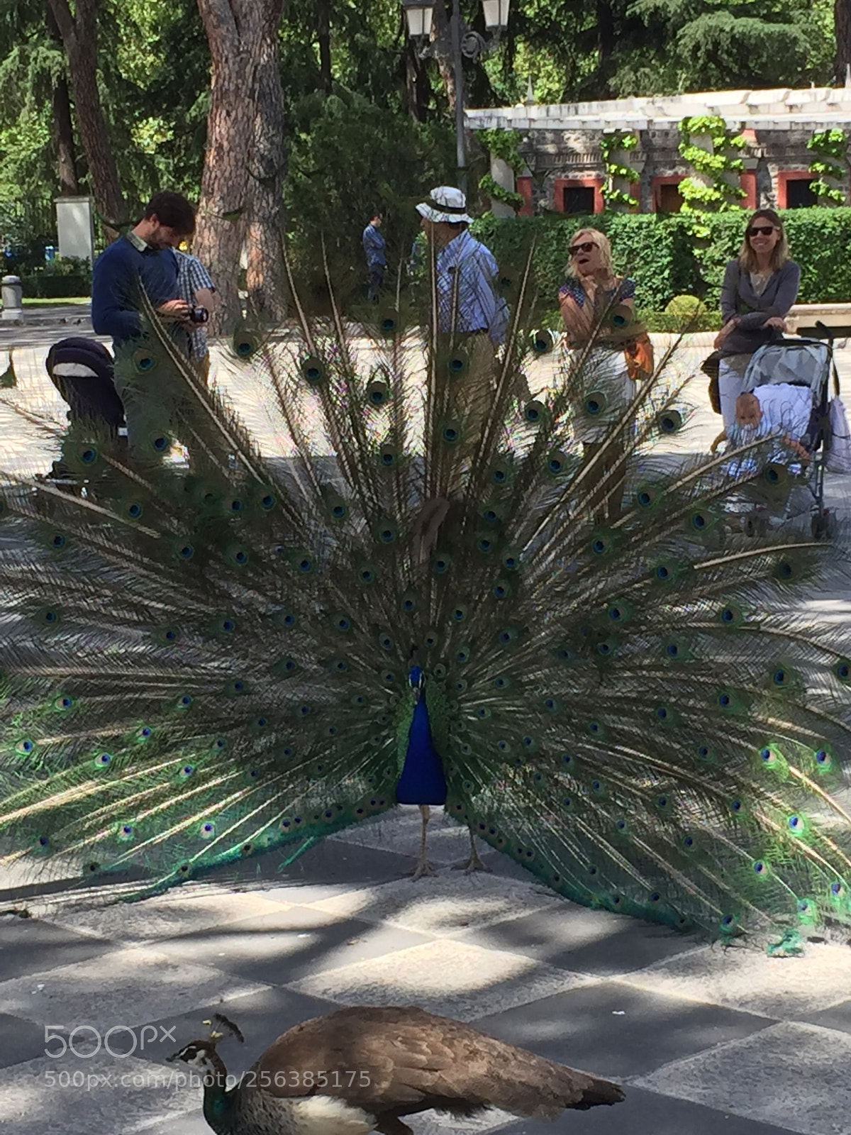 Apple iPhone 6 sample photo. Madrid, spain photography