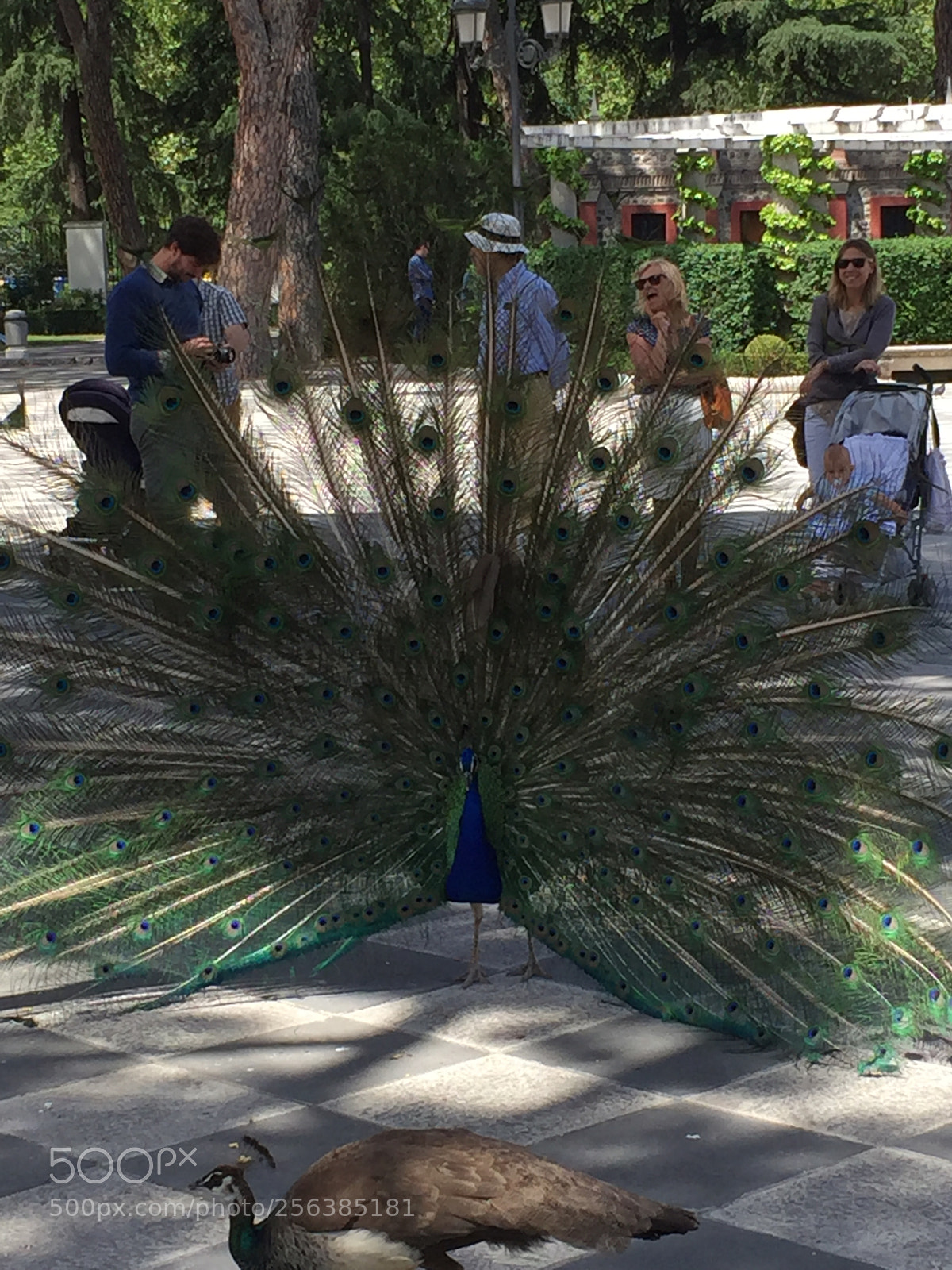 Apple iPhone 6 sample photo. Madrid, spain photography