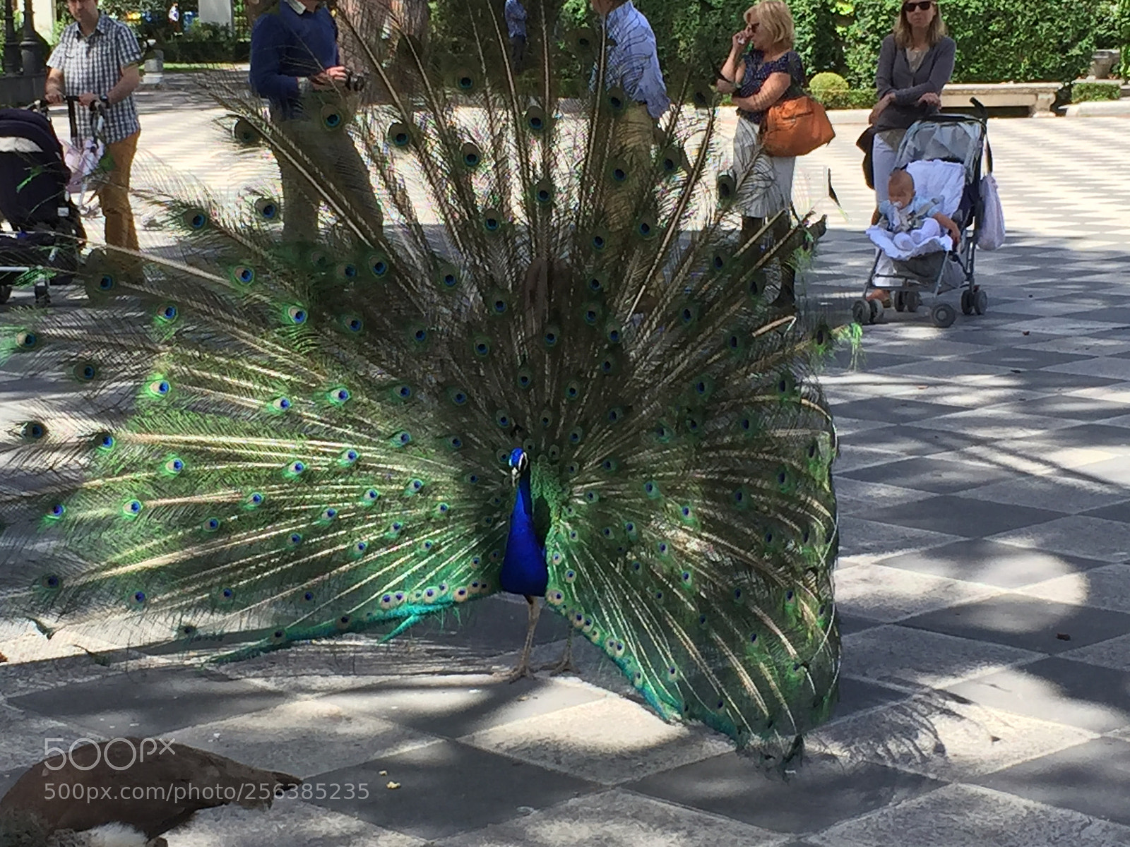 Apple iPhone 6 sample photo. Madrid, spain photography