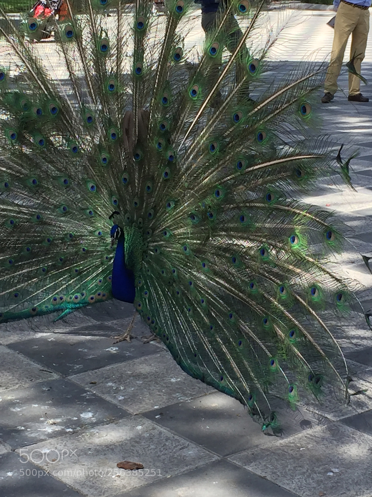 Apple iPhone 6 sample photo. Madrid, spain photography