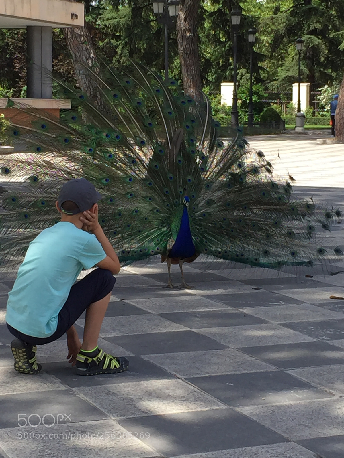 Apple iPhone 6 sample photo. Madrid, spain photography