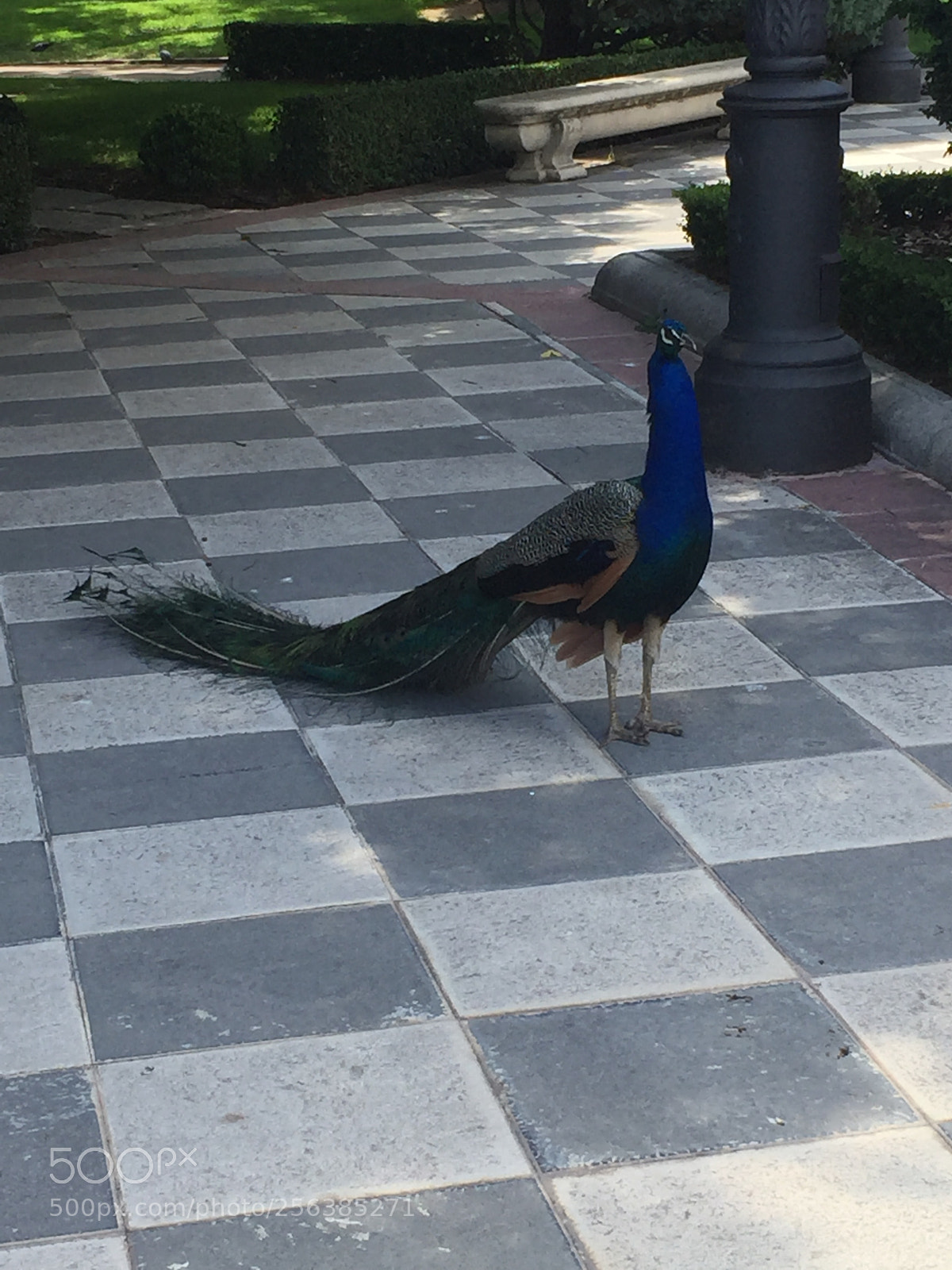 Apple iPhone 6 sample photo. Madrid, spain photography