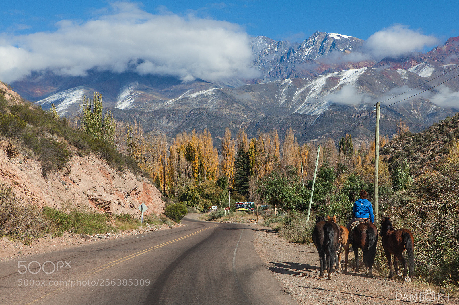 Canon EOS 5D Mark II sample photo. Camino rural photography