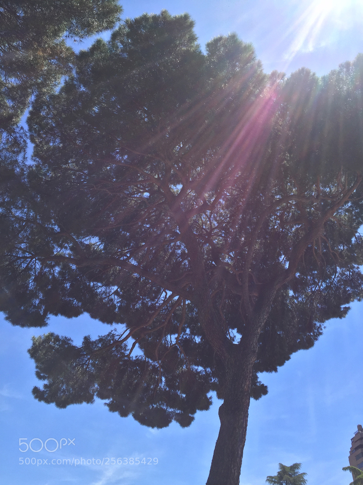 Apple iPhone 6 sample photo. Madrid, spain photography