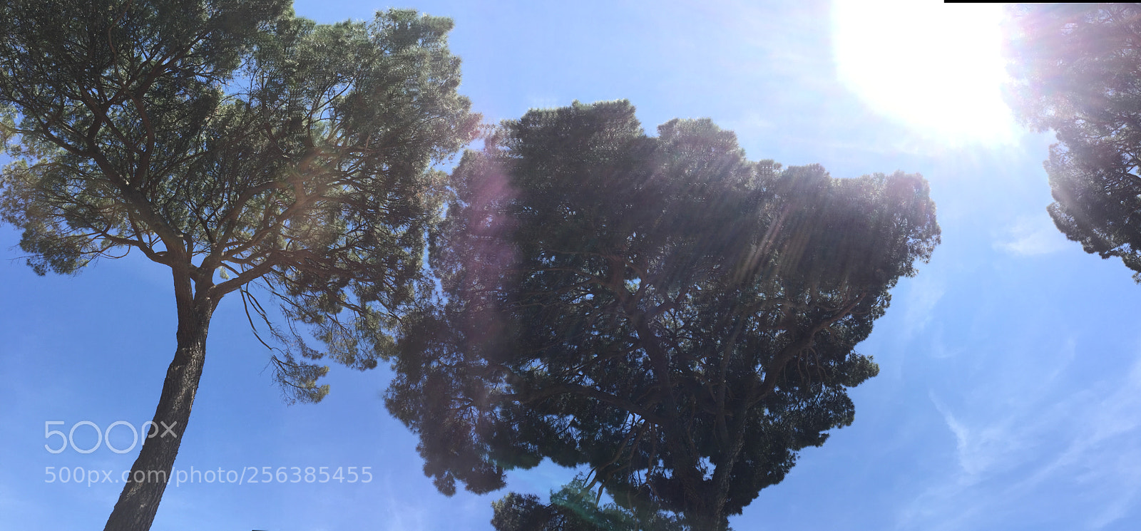 Apple iPhone 6 sample photo. Madrid, spain photography