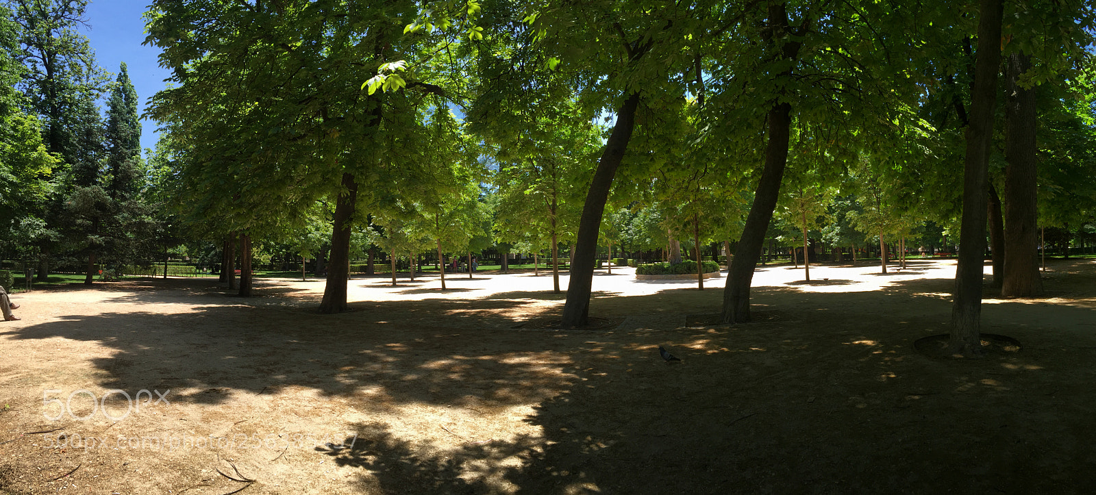 Apple iPhone 6 sample photo. Madrid, spain photography