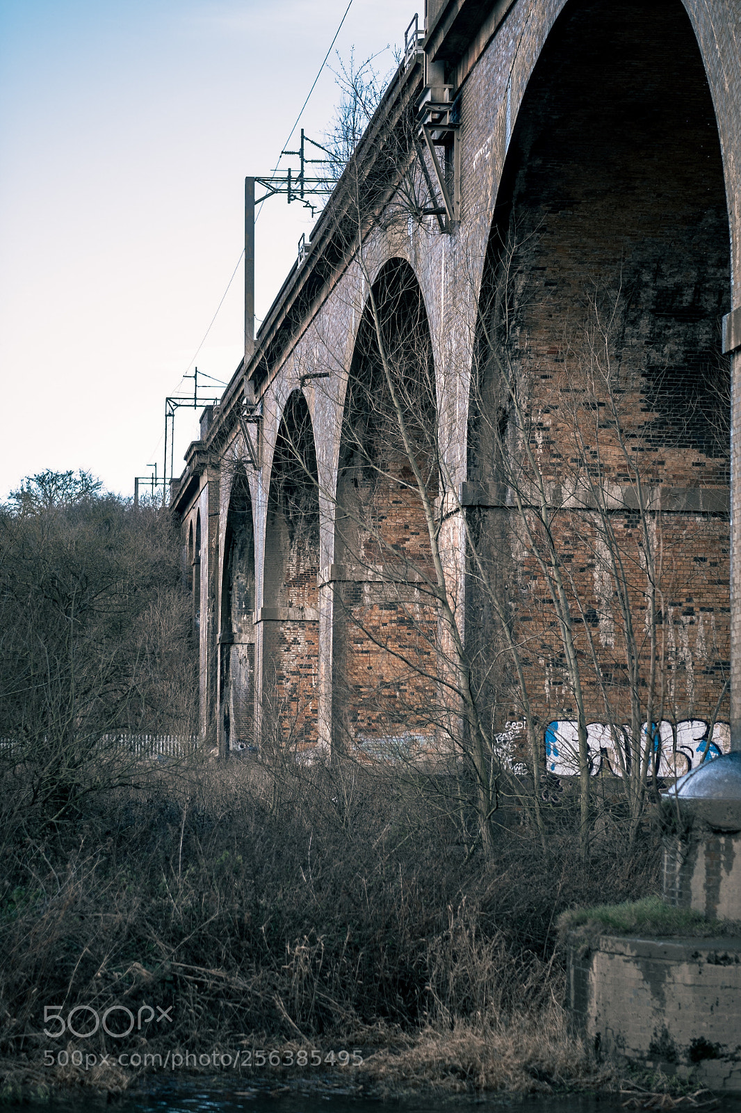 Fujifilm X-E1 sample photo. Milton keynes photography