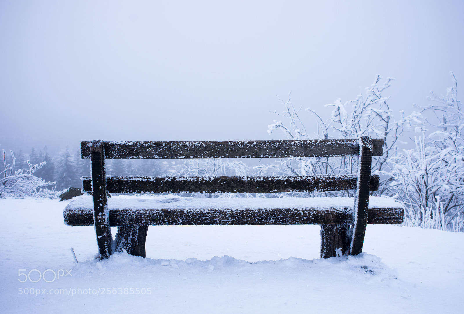 Pentax K-5 sample photo. Snow photography