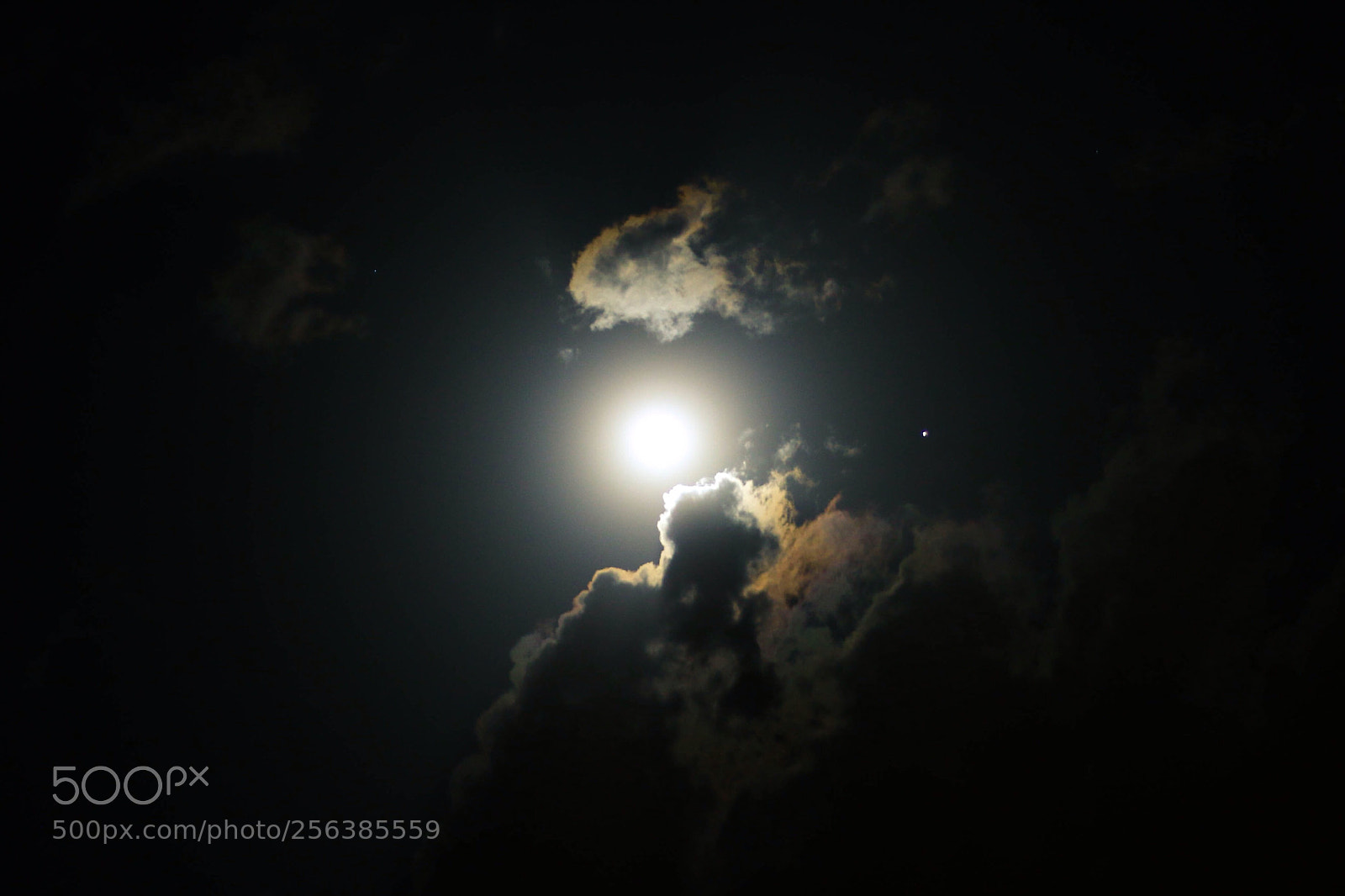 Canon EOS 70D sample photo. Untitled photography