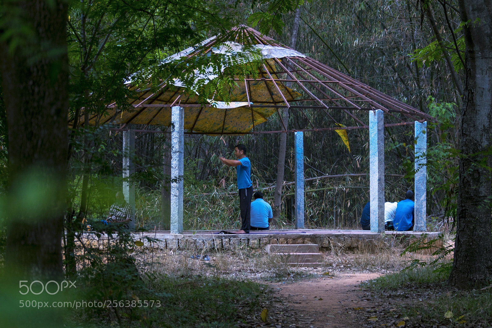 Nikon D5300 sample photo. Healthy morning photography