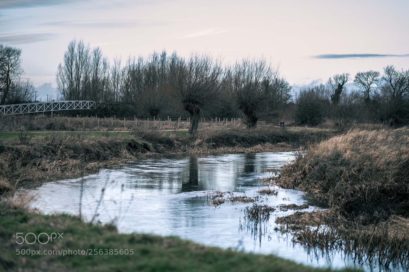 Fujifilm X-E1 sample photo. Milton keynes photography