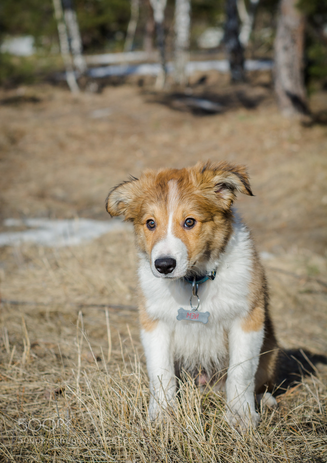 Nikon D7100 sample photo. Waiting for summer photography