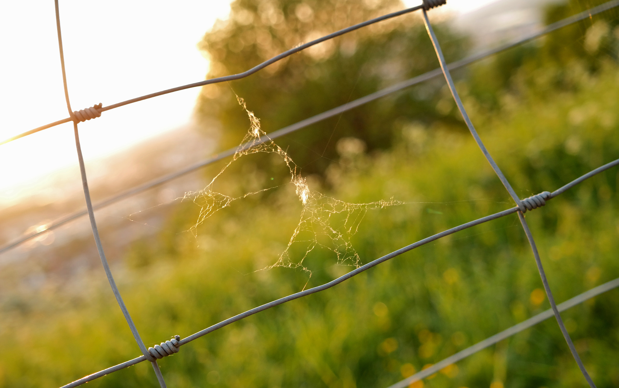 Samsung NX300M sample photo. Samsung csc photography
