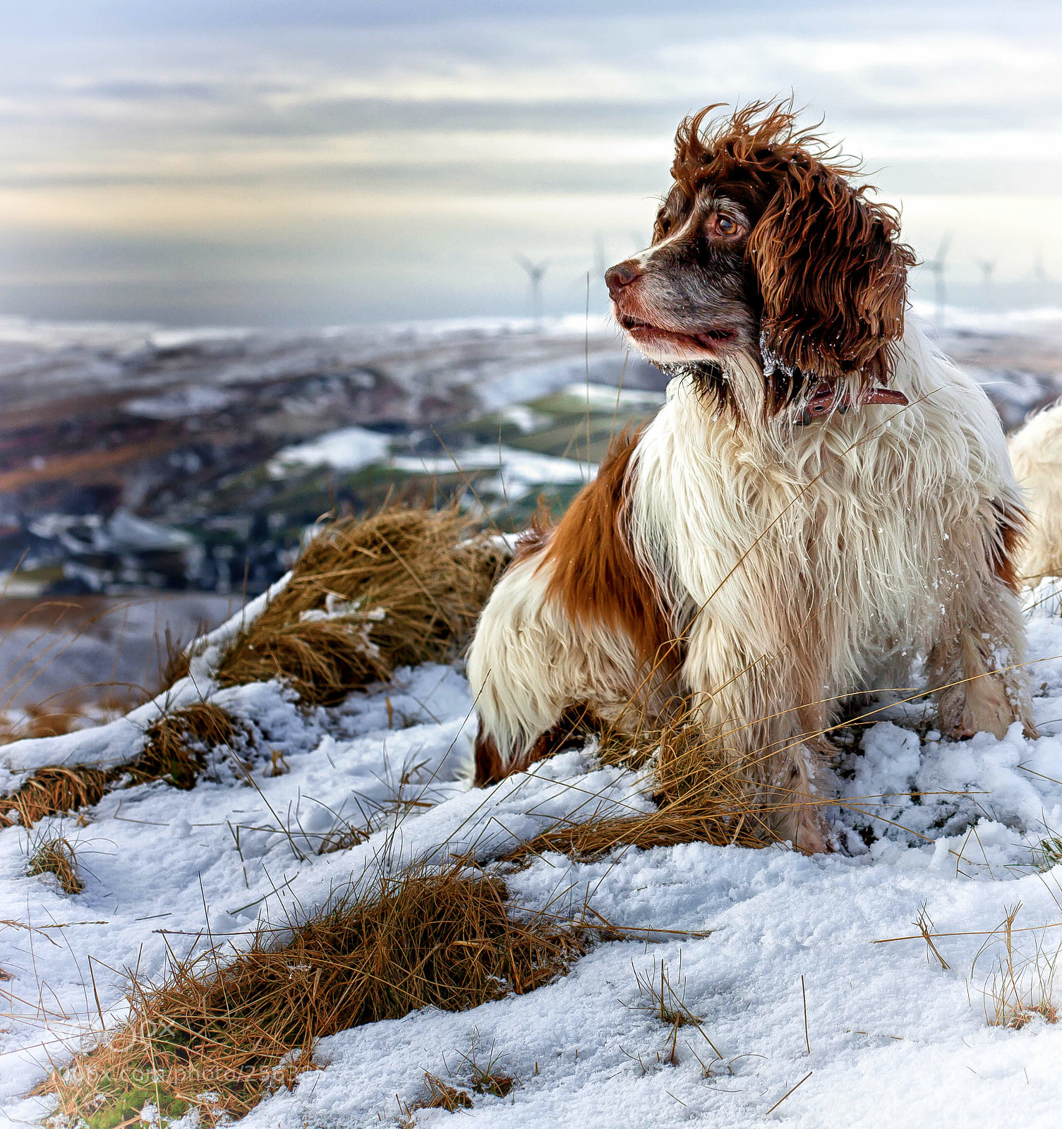 Canon EOS 5D Mark II sample photo. A blackstone edge blow photography