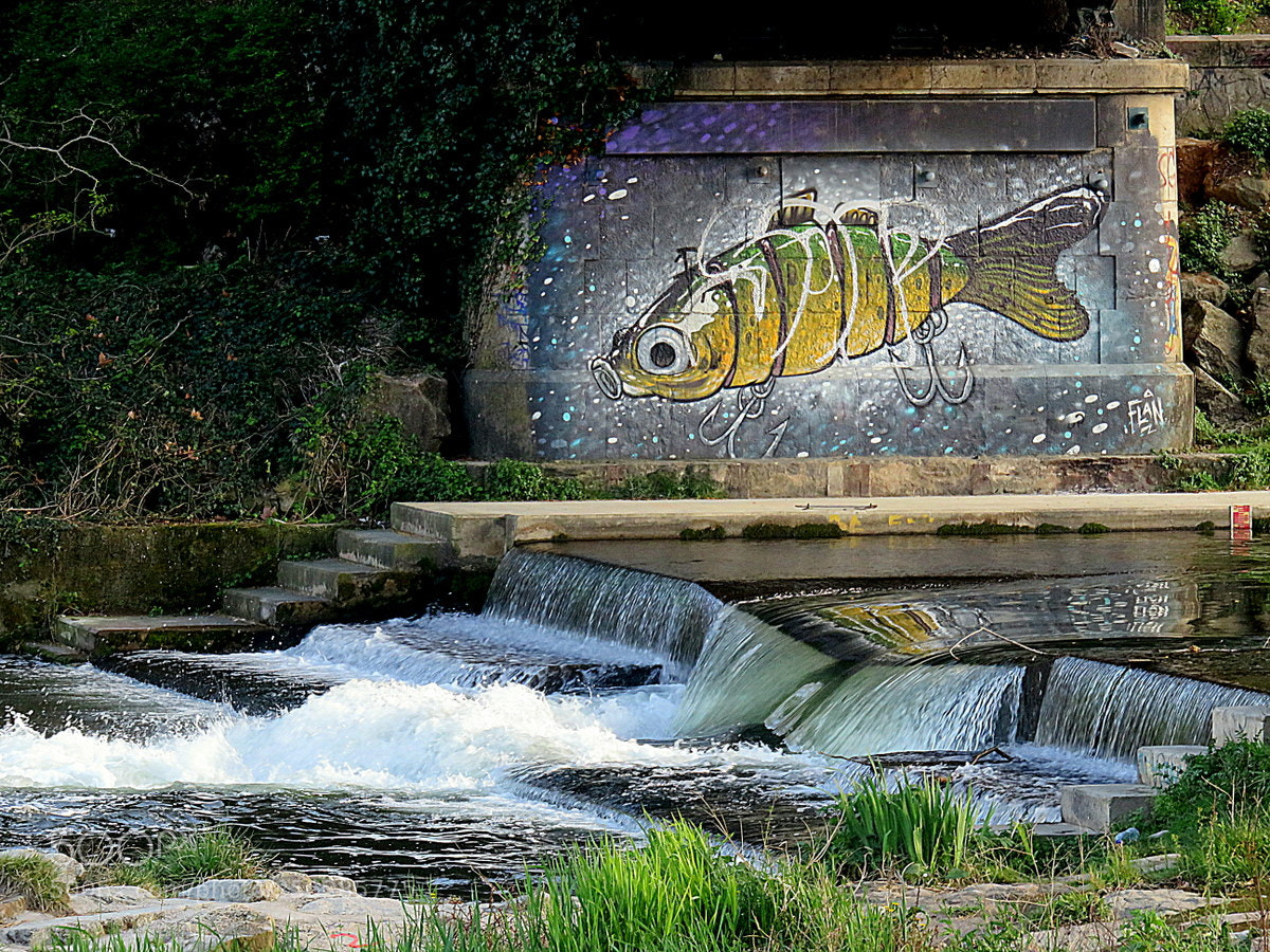Canon PowerShot SX710 HS sample photo. Graffitti photography