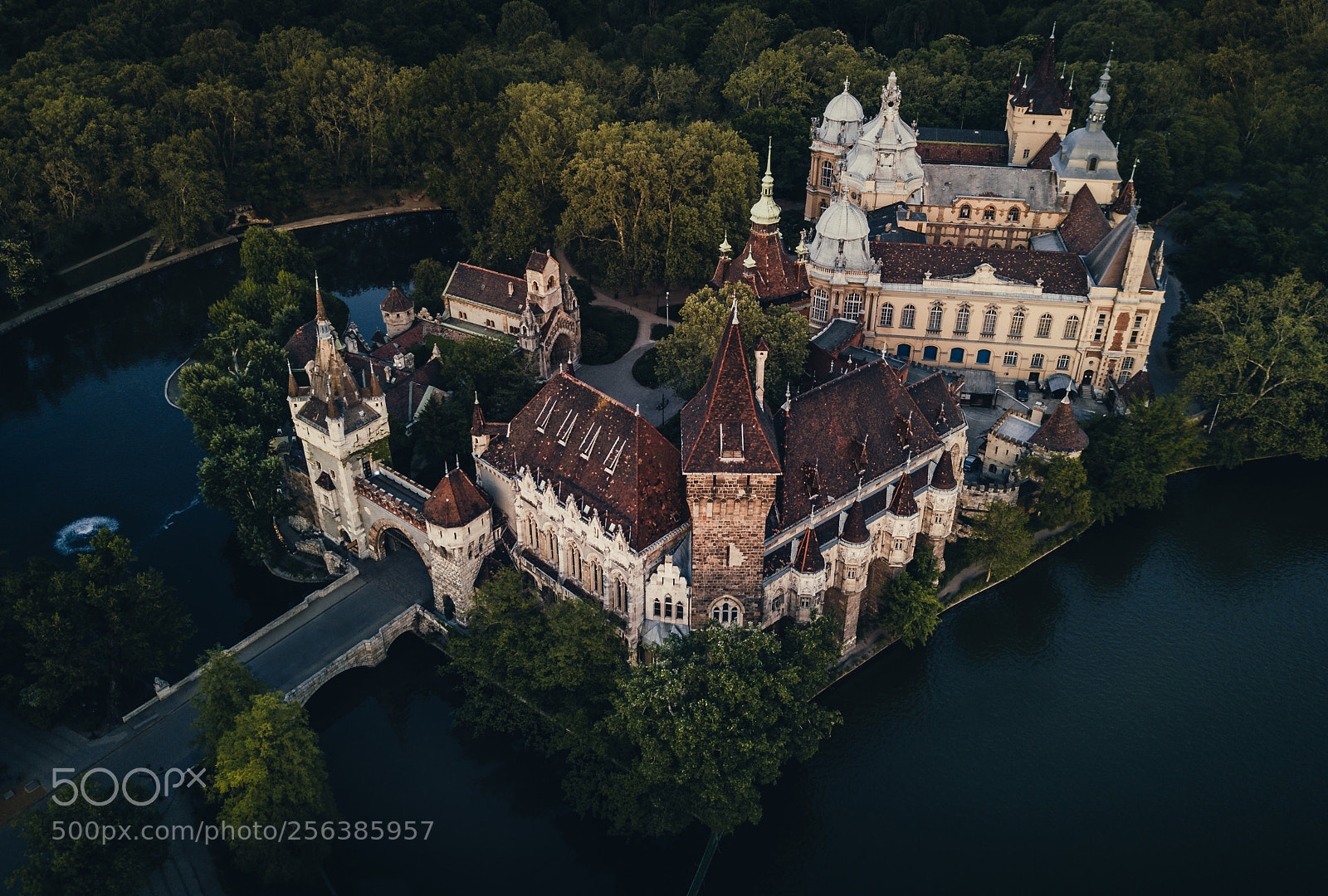 DJI FC220 sample photo. Castle in the hearth photography