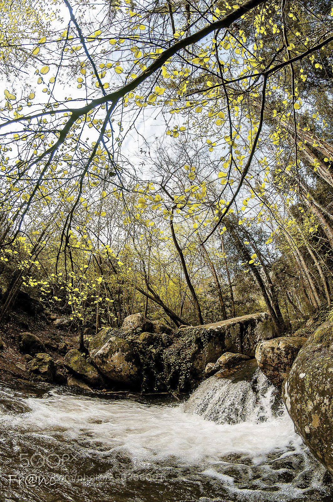 Nikon D300S sample photo. Fresc photography