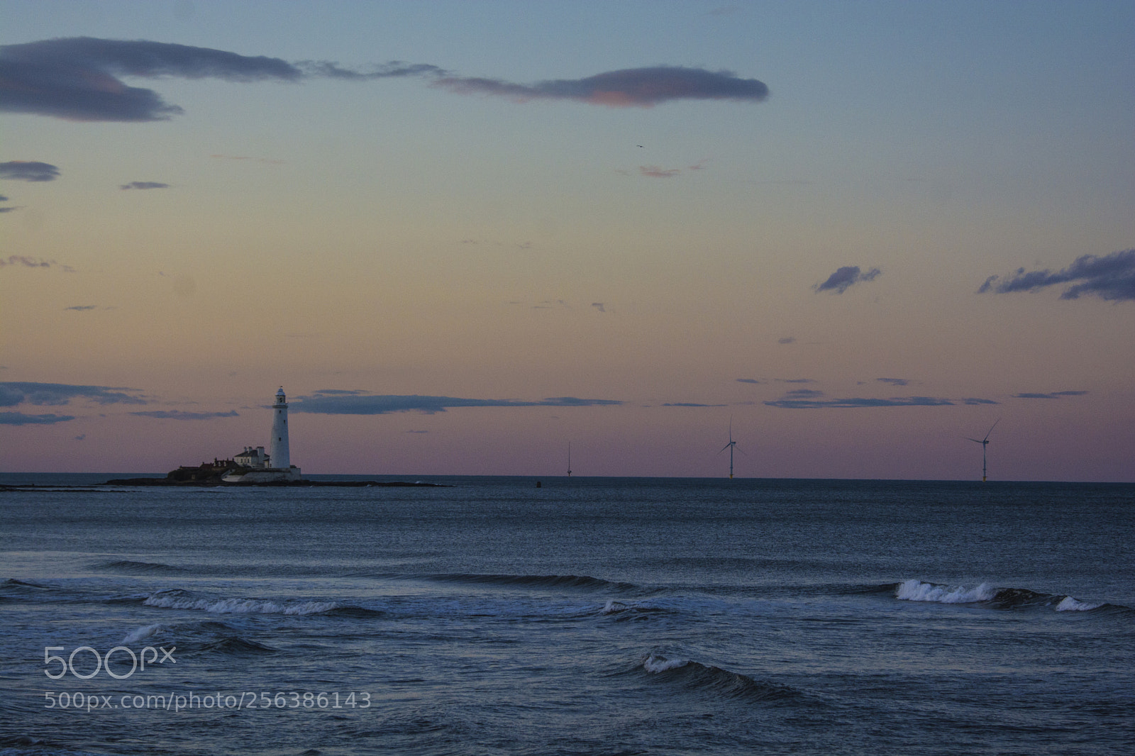 Nikon D7100 sample photo. Jpg photography