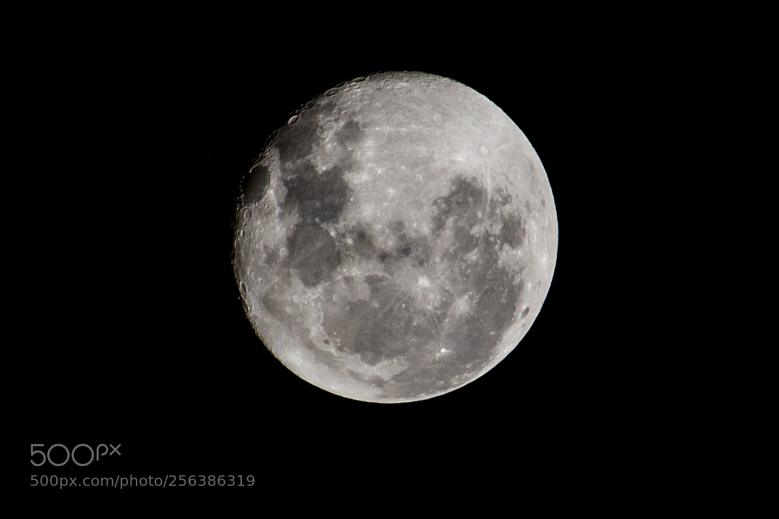 Nikon D3100 sample photo. The moon photography