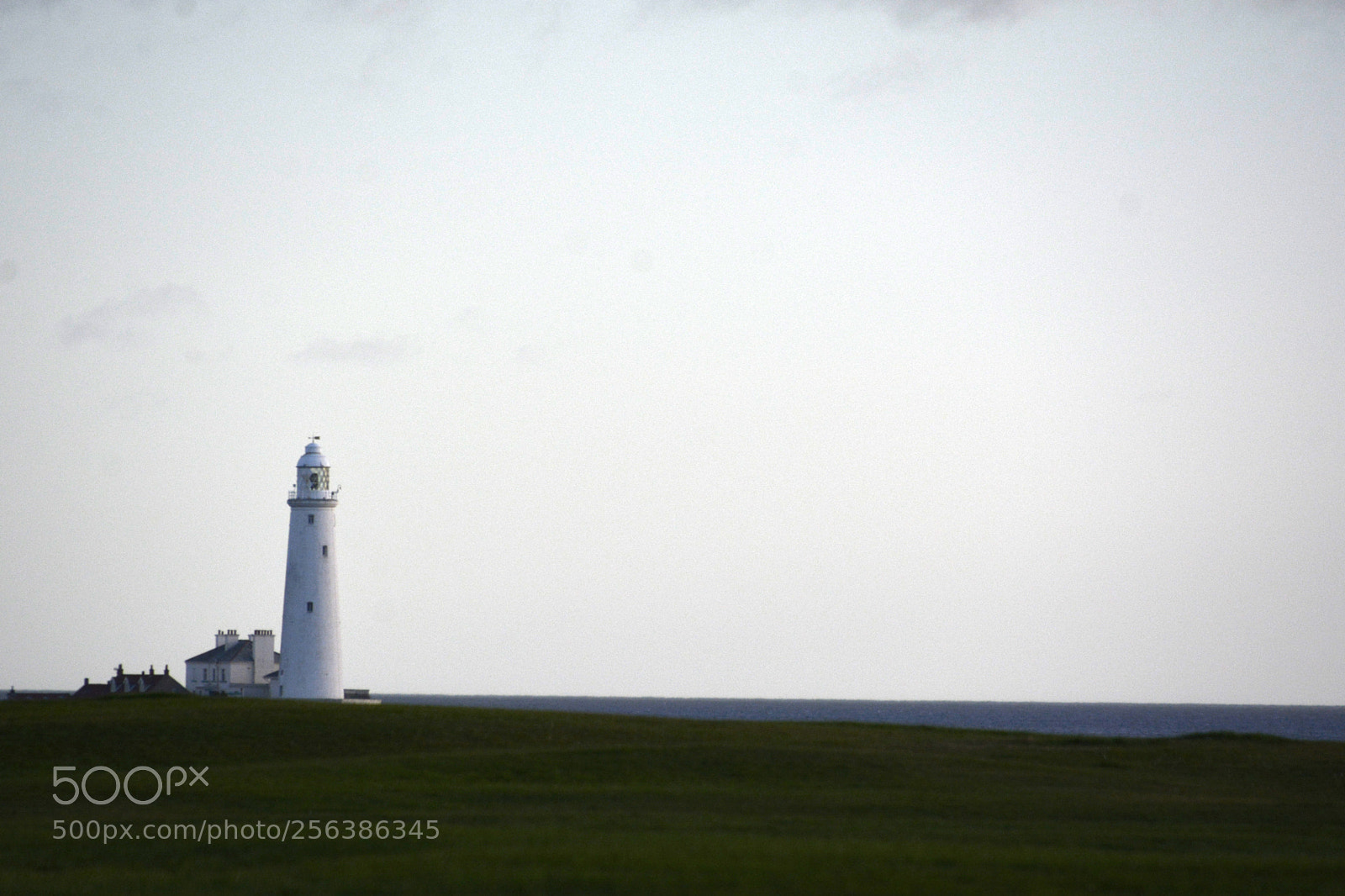 Nikon D7100 sample photo. Jpg photography