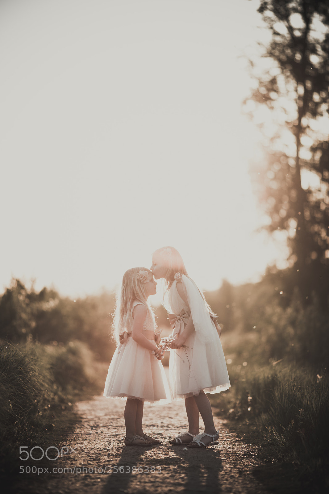Canon EOS 5D Mark IV sample photo. Sun kiss photography