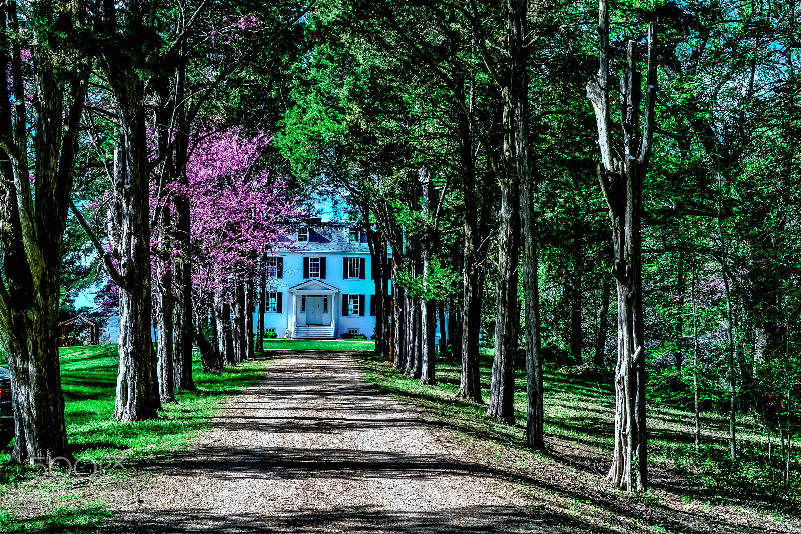 Nikon D5200 sample photo. Road in photography
